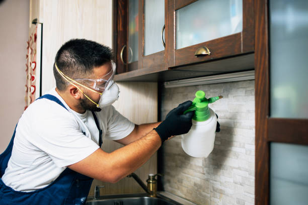 Pest Control Cost in Santa Fe, TX