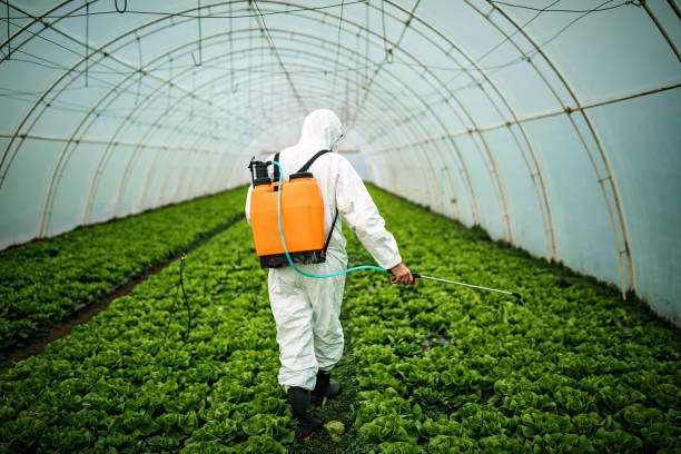 Best Pest Inspection Near Me  in Santa Fe, TX
