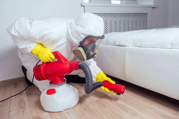 Best Best Pest Control Companies  in Santa Fe, TX