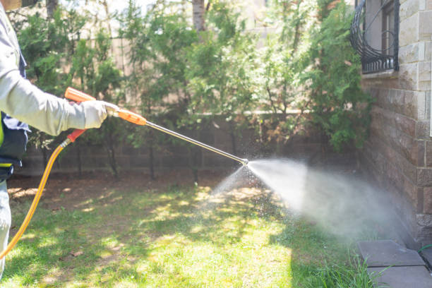 Best Emergency Pest Control  in Santa Fe, TX