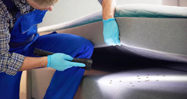 Best Residential Pest Control  in Santa Fe, TX
