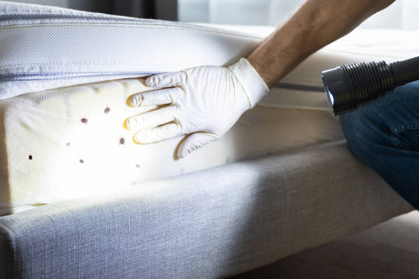 Best Pest Control Near Me  in Santa Fe, TX