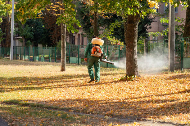 Best Cockroach Control Services  in Santa Fe, TX